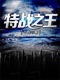 免费阅读特战之王全集